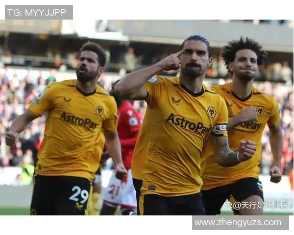 水晶宫与狼队对决前瞻分析及比赛结果预测探讨