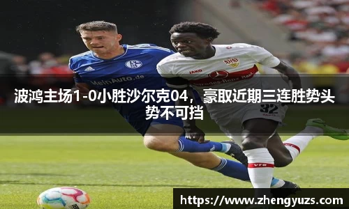 波鸿主场1-0小胜沙尔克04，豪取近期三连胜势头势不可挡