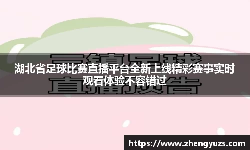 湖北省足球比赛直播平台全新上线精彩赛事实时观看体验不容错过