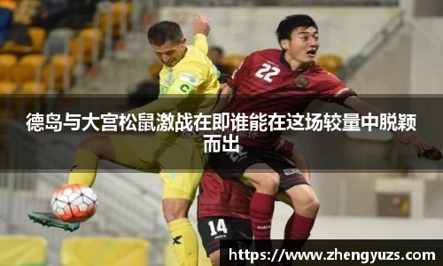 德岛与大宫松鼠激战在即谁能在这场较量中脱颖而出